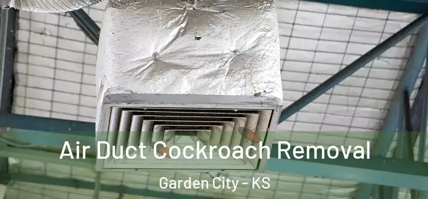  Air Duct Cockroach Removal Garden City - KS
