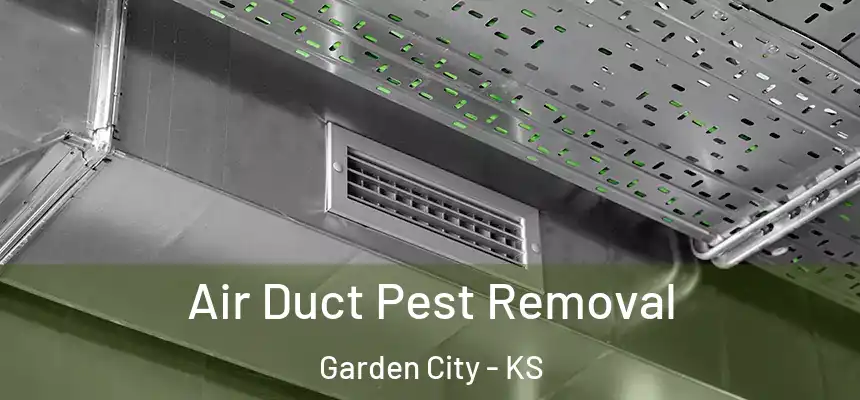  Air Duct Pest Removal Garden City - KS
