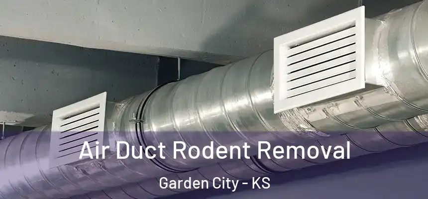  Air Duct Rodent Removal Garden City - KS
