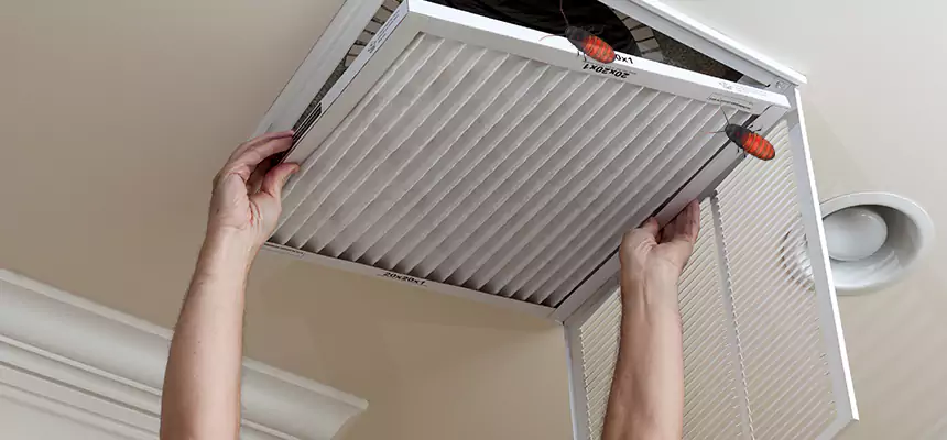 Our Insect Removal from Air Ducts Services in Garden City, KS