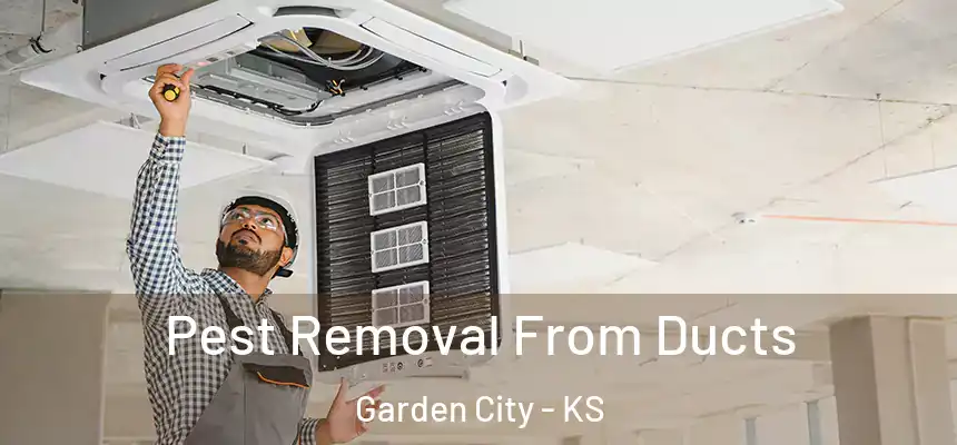 Pest Removal From Ducts Garden City - KS