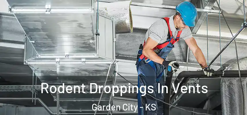 Rodent Droppings In Vents Garden City - KS
