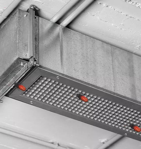 About Air Duct Cockroach Removal in Garden City, KS