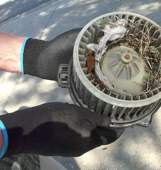 About Air Duct Mice Removal in Garden City, KS